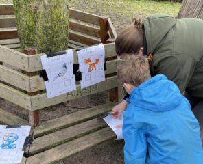 Letterfeest