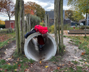 Herfst op ons plein