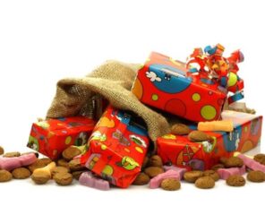 Welkom Sinterklaas!